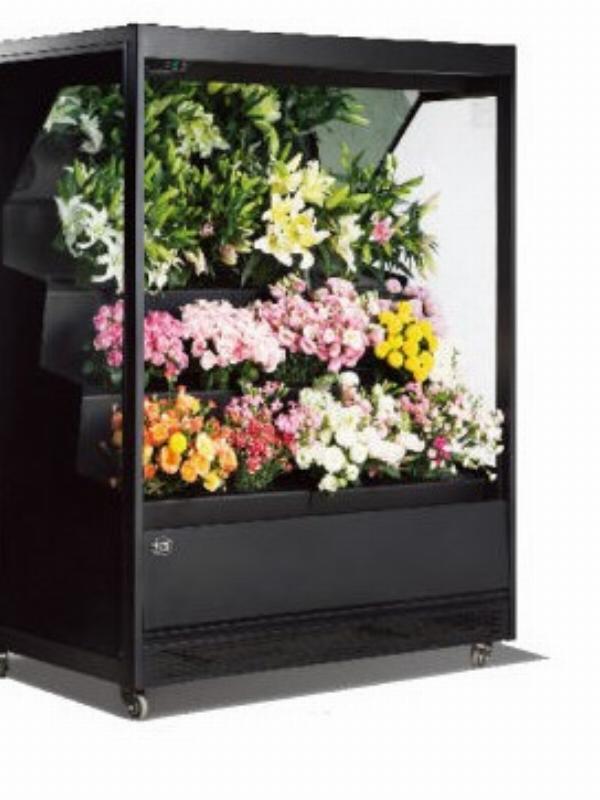 FLOWER REFRIGERATOR SERIES