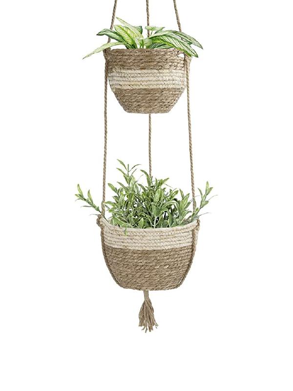 Hanging Basket for Plants